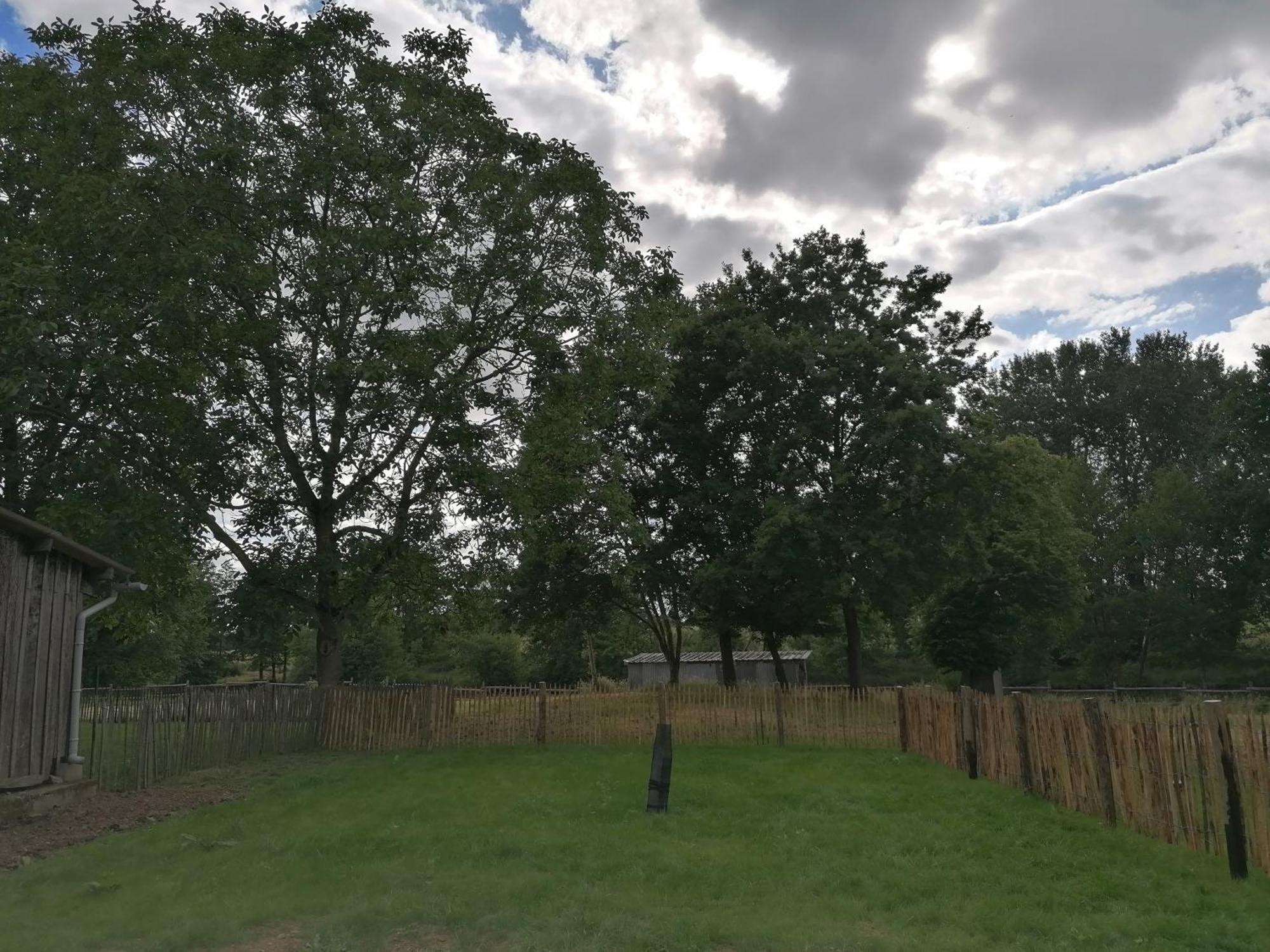 Les Petites Rives De La Motte Vila Pleugueneuc Exterior foto